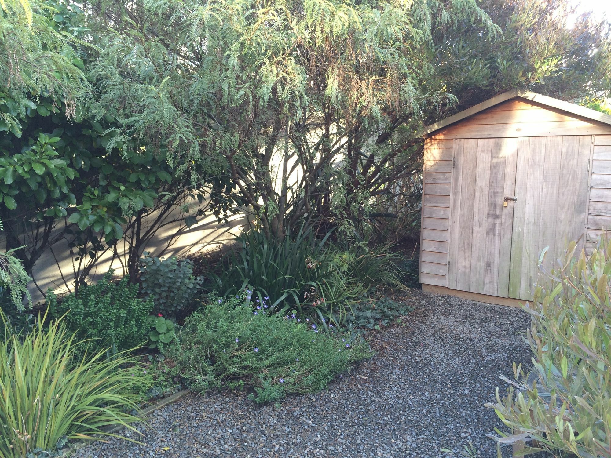 Wellington City Cottages Exterior photo